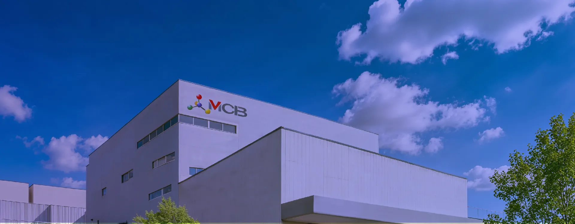 Company background
